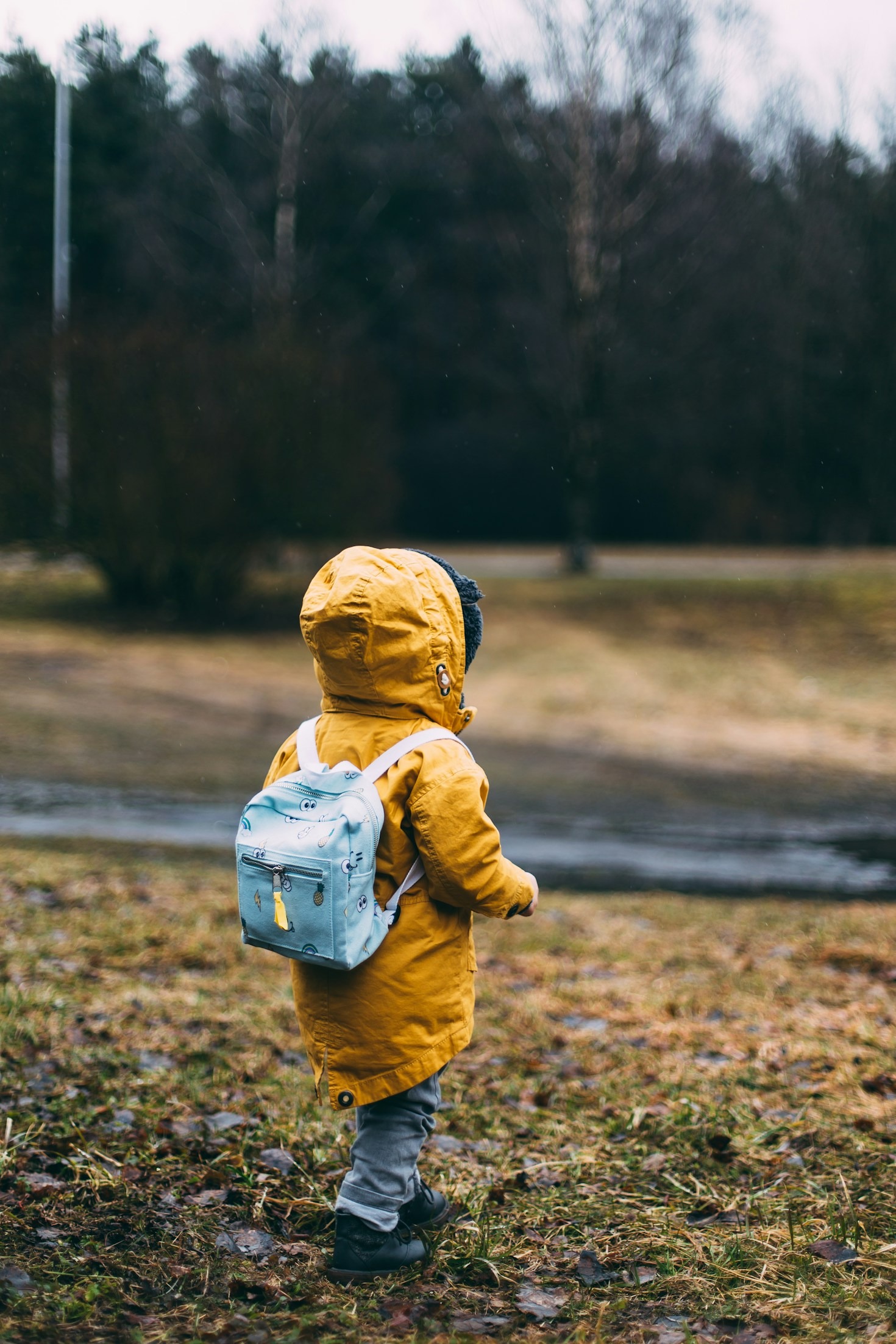 How Outdoor Education Promotes Holistic Child Development