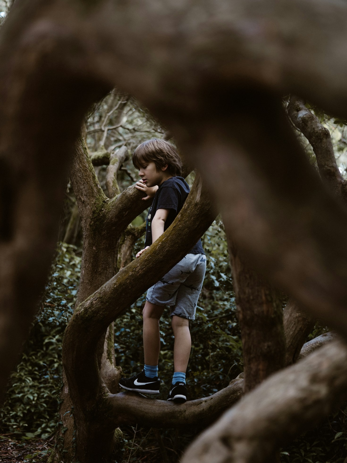 The Magic of Emergent Learning in Natural Settings