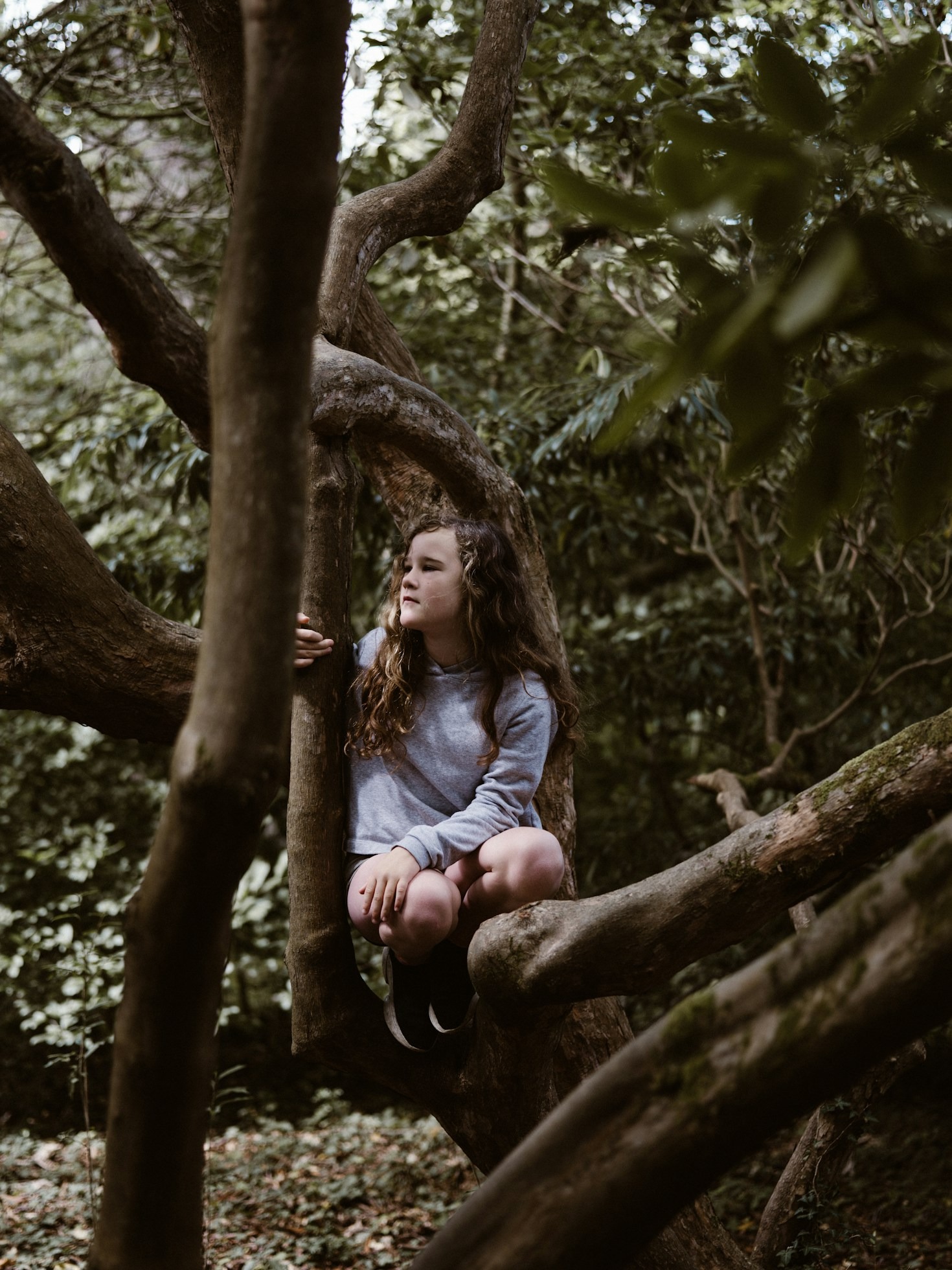 Ways Forest Learning Cultivates Environmental Awareness