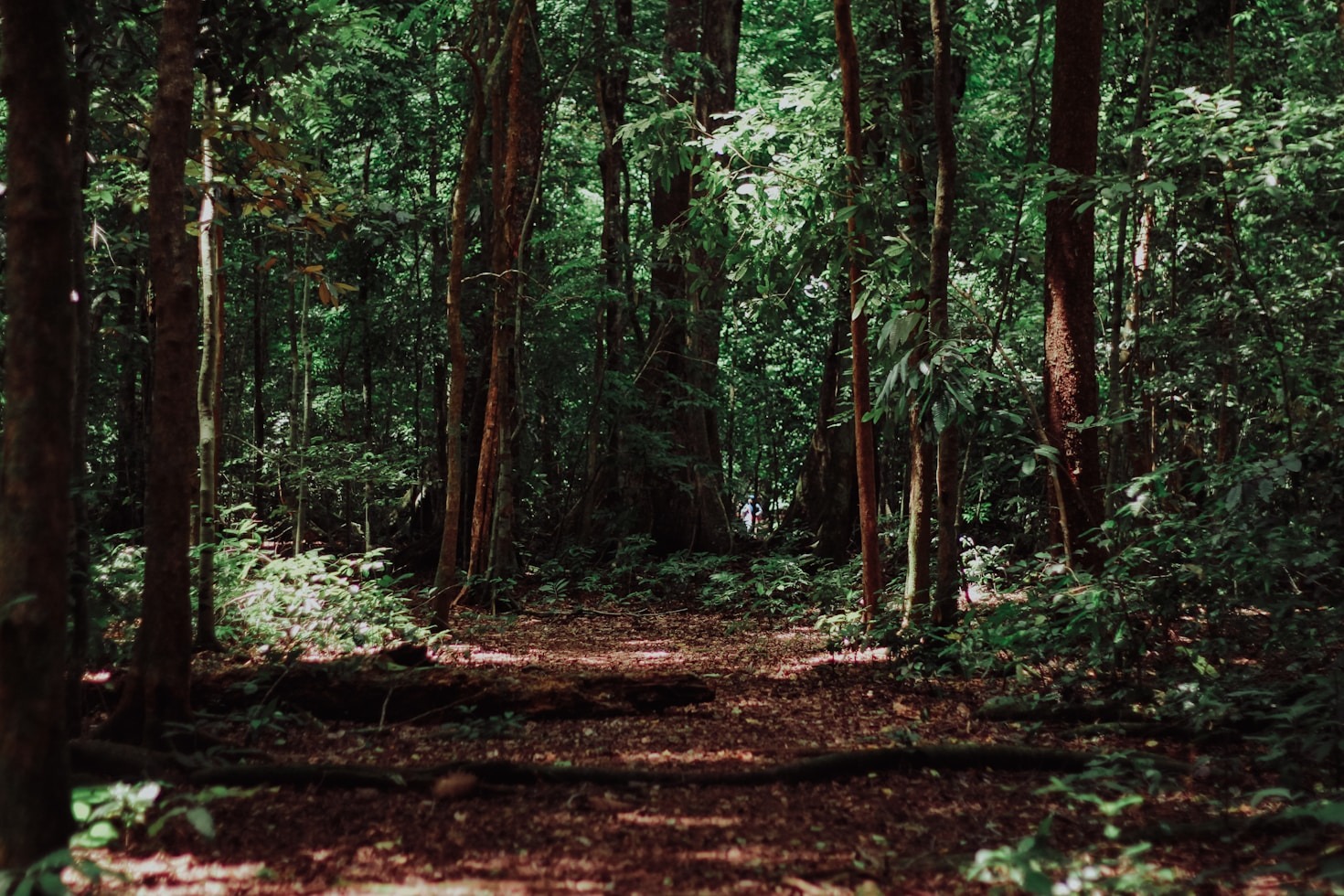Exploring Walden’s Ridge: A Natural Haven for Learning